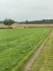 Einsatz